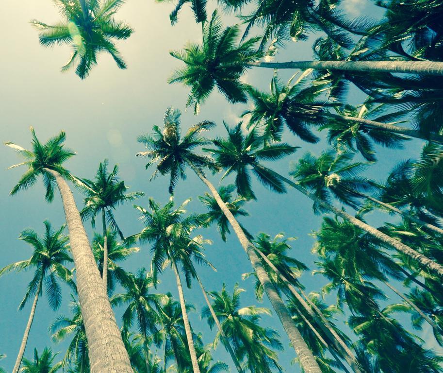 Big Bamboo De Uvita Εξωτερικό φωτογραφία